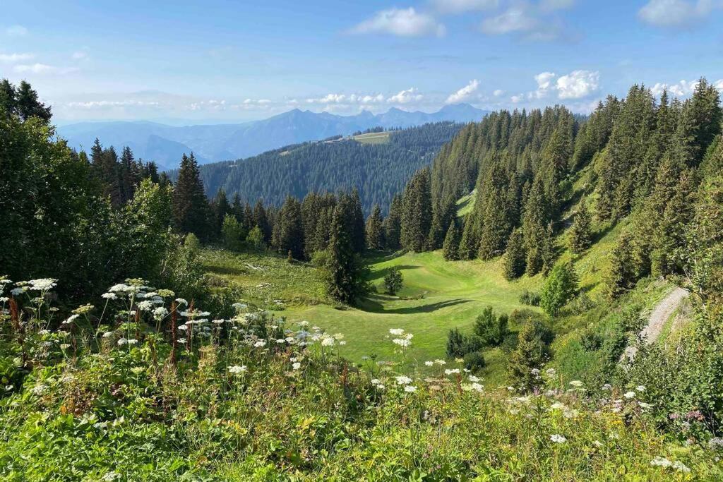 Vue Panoramique Sur Les Montagnes Plein Sud - T2 Skis Aux Pieds, Piscine & Spa Flaine Exteriör bild