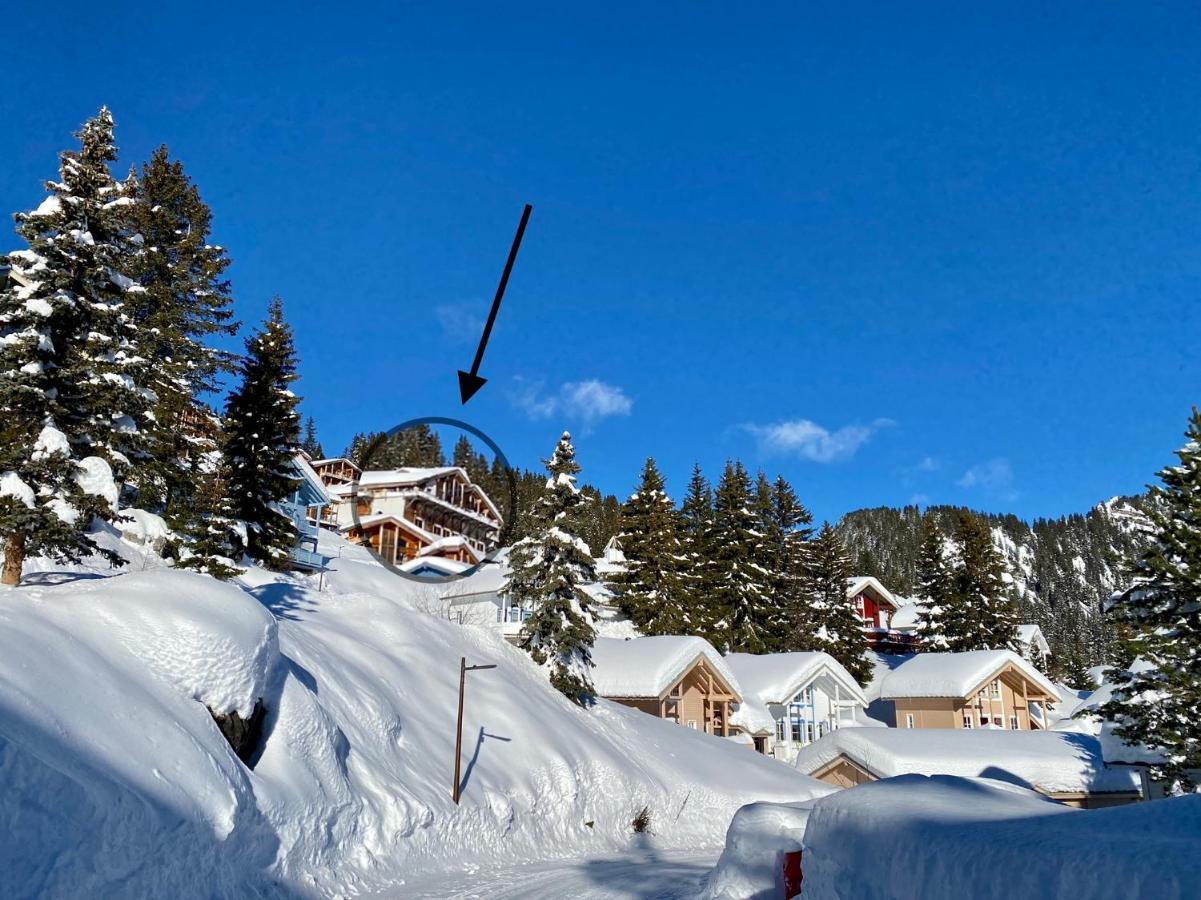 Vue Panoramique Sur Les Montagnes Plein Sud - T2 Skis Aux Pieds, Piscine & Spa Flaine Exteriör bild
